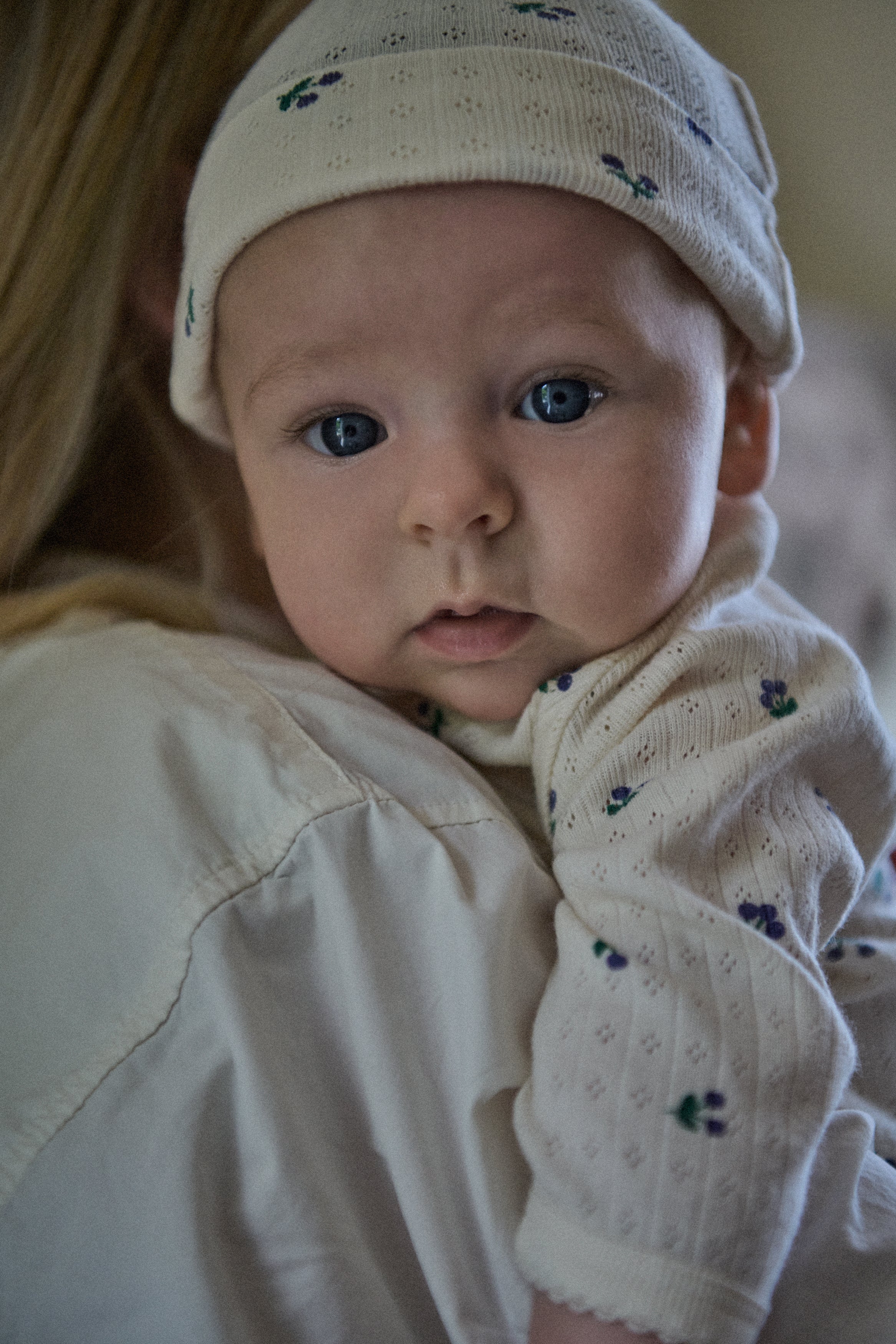 Knotted Beanie Pointelle - Winter Berry Print
