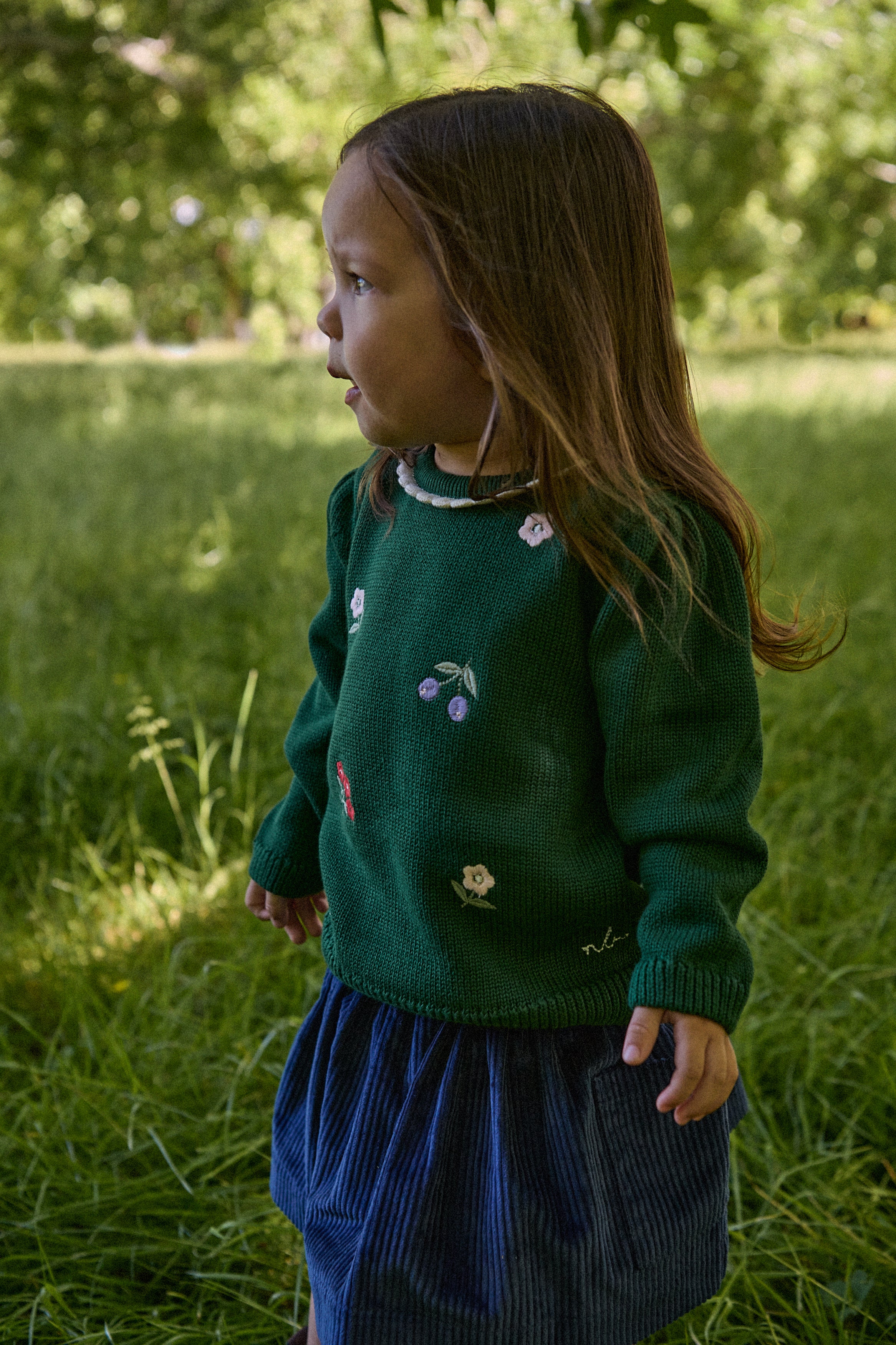 Long Sleeve Twirl Dress - Winter Berry Navy Print