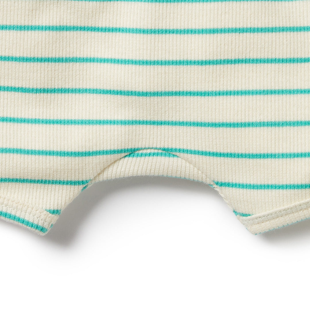 Wilson and Frenchy Petit Green Organic Short