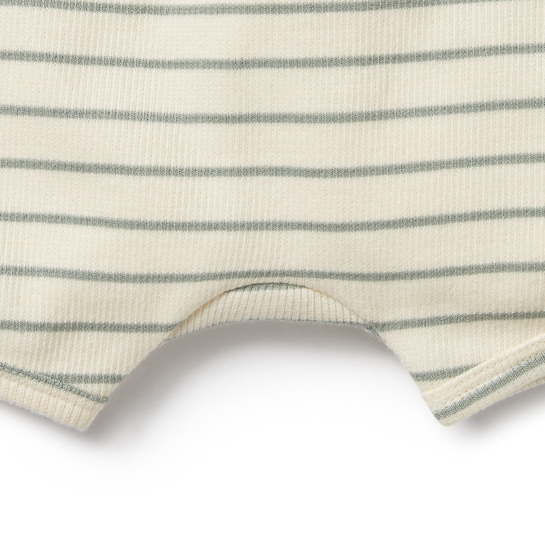 Wilson and Frenchy Petit Sage Organic Short