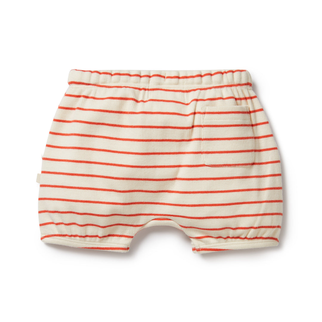 Wilson and Frenchy Petit Rouge Organic Bloomer Short