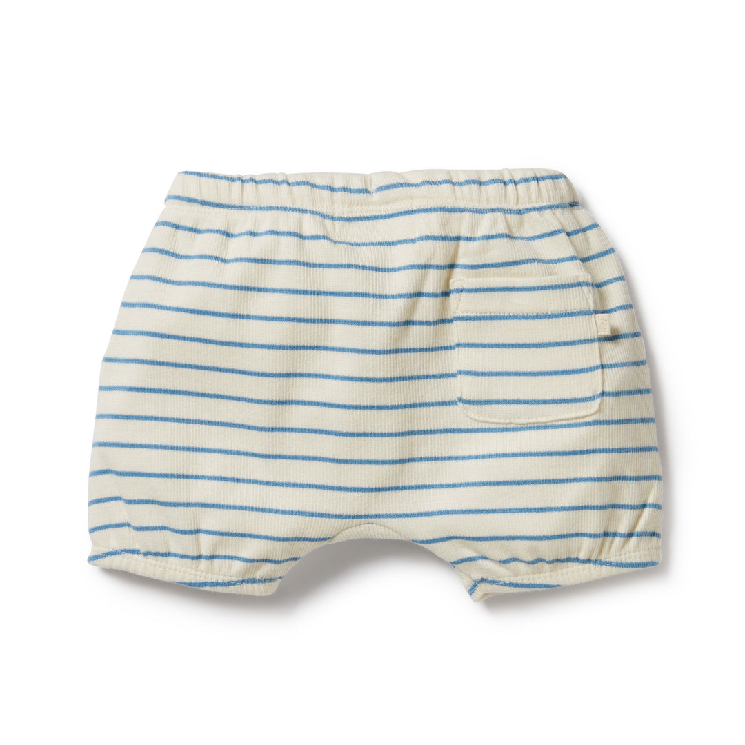 Wilson and Frenchy Petit Blue Organic Bloomer Short
