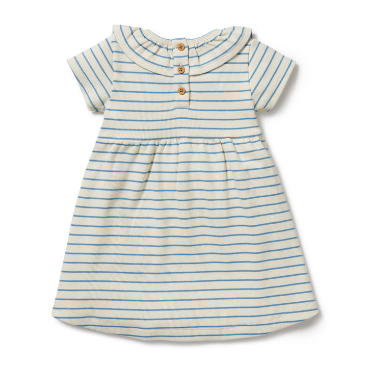 Wilson and Frenchy Petit Blue Organic Ruffle Dress