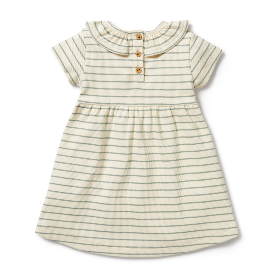 Wilson and Frenchy Petit Sage Organic Ruffle Dress