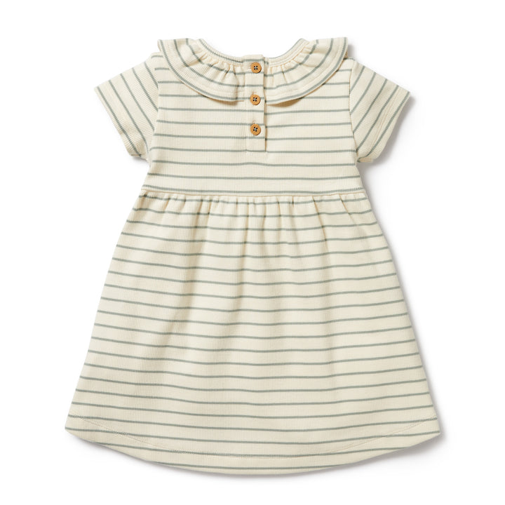 Wilson and Frenchy Petit Sage Organic Ruffle Dress