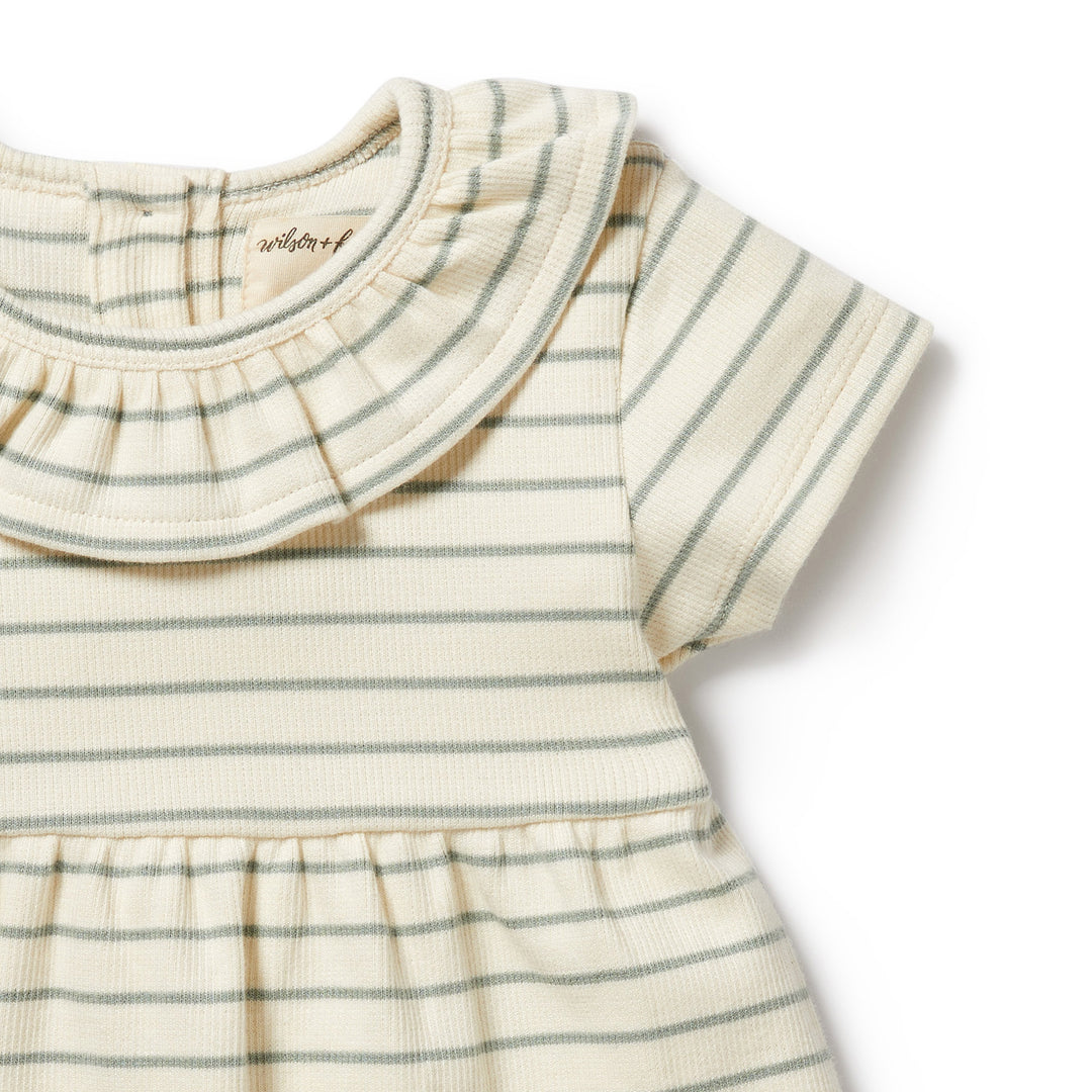 Wilson and Frenchy Petit Sage Organic Ruffle Dress