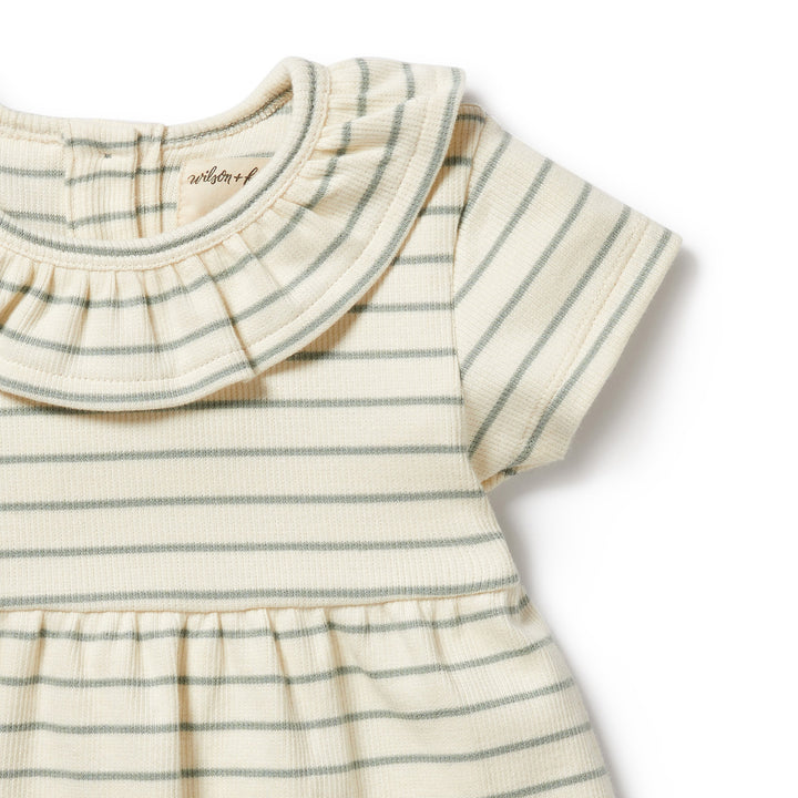 Wilson and Frenchy Petit Sage Organic Ruffle Dress