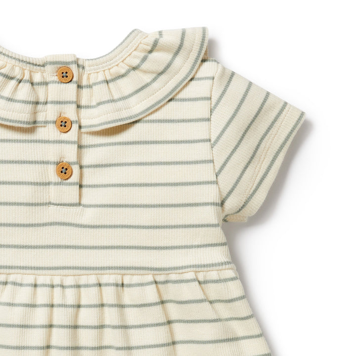 Wilson and Frenchy Petit Sage Organic Ruffle Dress