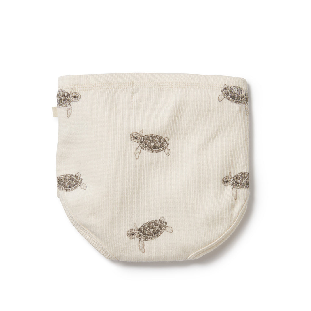 Wilson and Frenchy Tiny Turtle Organic Nappy Pant