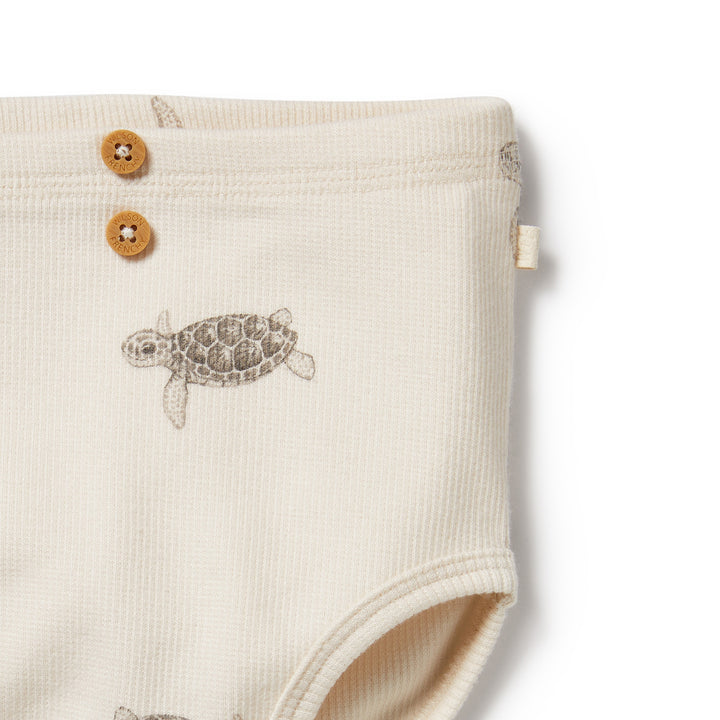 Wilson and Frenchy Tiny Turtle Organic Nappy Pant