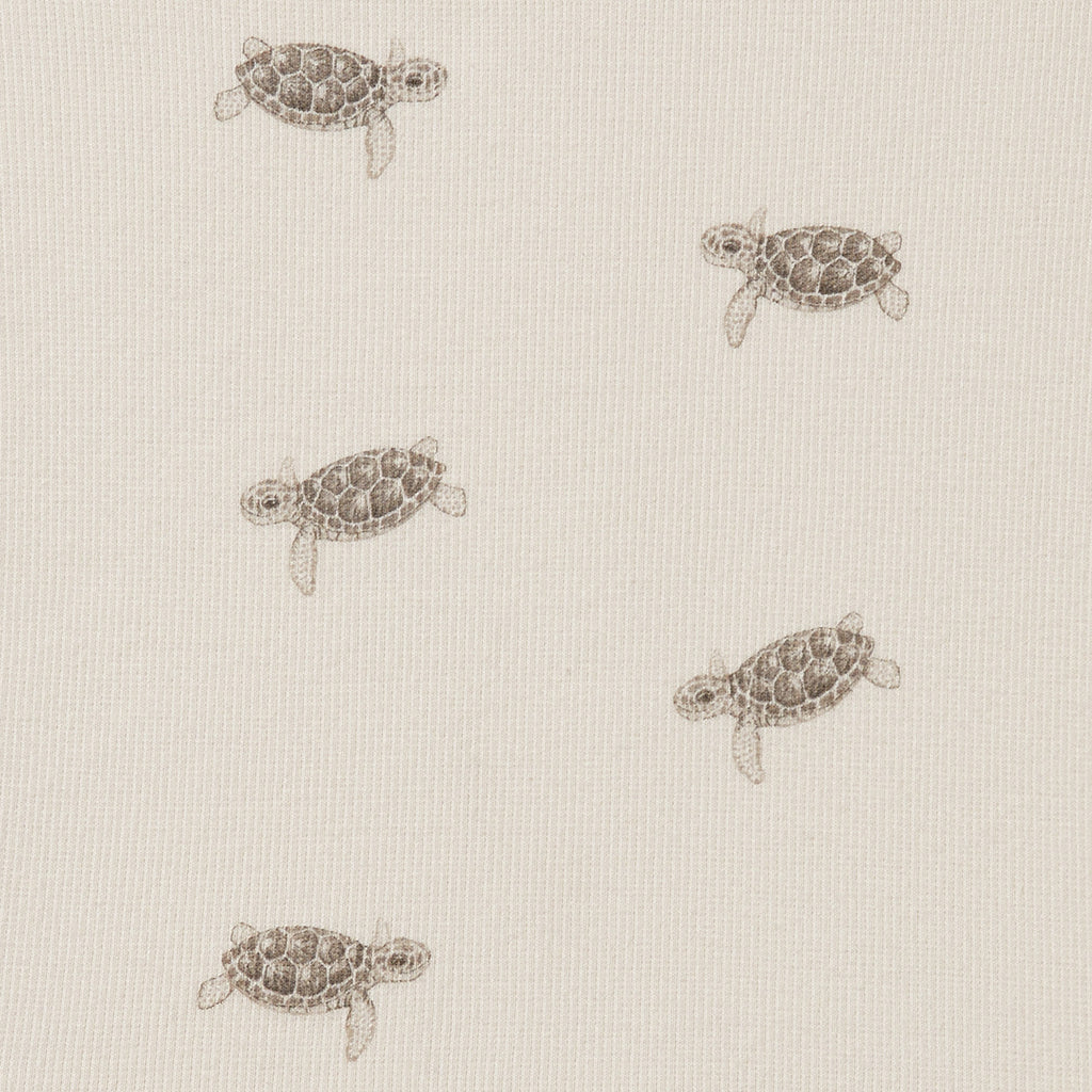 Tiny Turtle Organic Bassinet Sheet