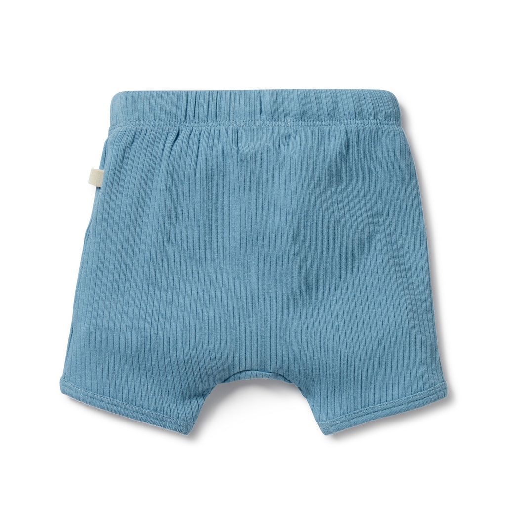 Wilson and Frenchy Sky Blue Organic Rib Short
