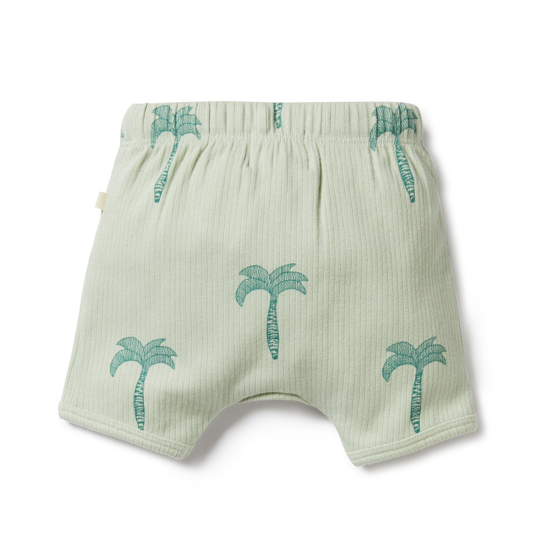 Wilson and Frenchy Palm Tree Organic Rib Short