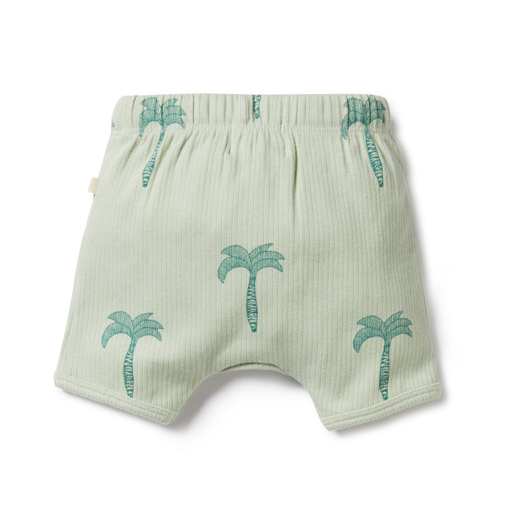 Wilson and Frenchy Palm Tree Organic Rib Short