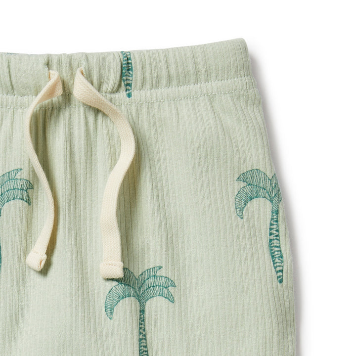 Wilson and Frenchy Palm Tree Organic Rib Pant