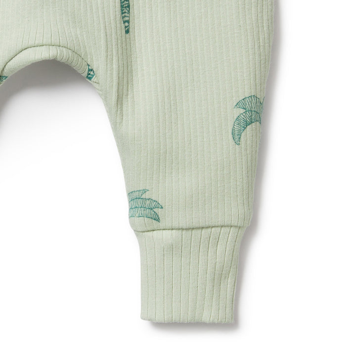 Wilson and Frenchy Palm Tree Organic Rib Pant