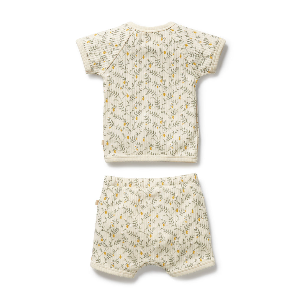 Organic Kimono Set - Lemon Leaf