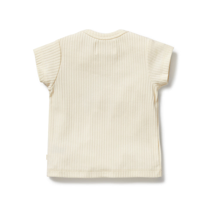 Wilson & Frenchy Embroidered Organic Tee - Lemon Leaf