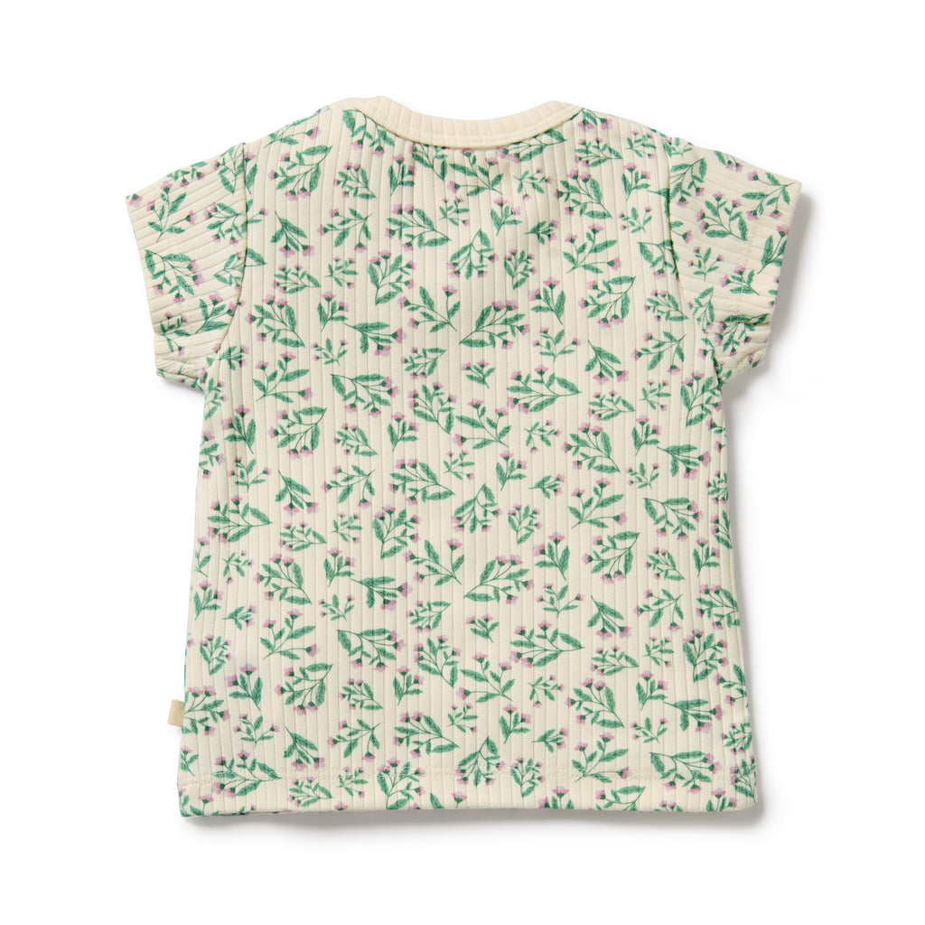 Wilson & Frenchy Organic Tee - Periwinkle