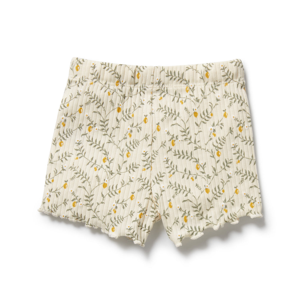 Wilson & Frenchy Organic Short - Lemon Leaf