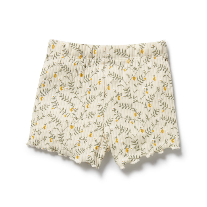 Wilson & Frenchy Organic Short - Lemon Leaf