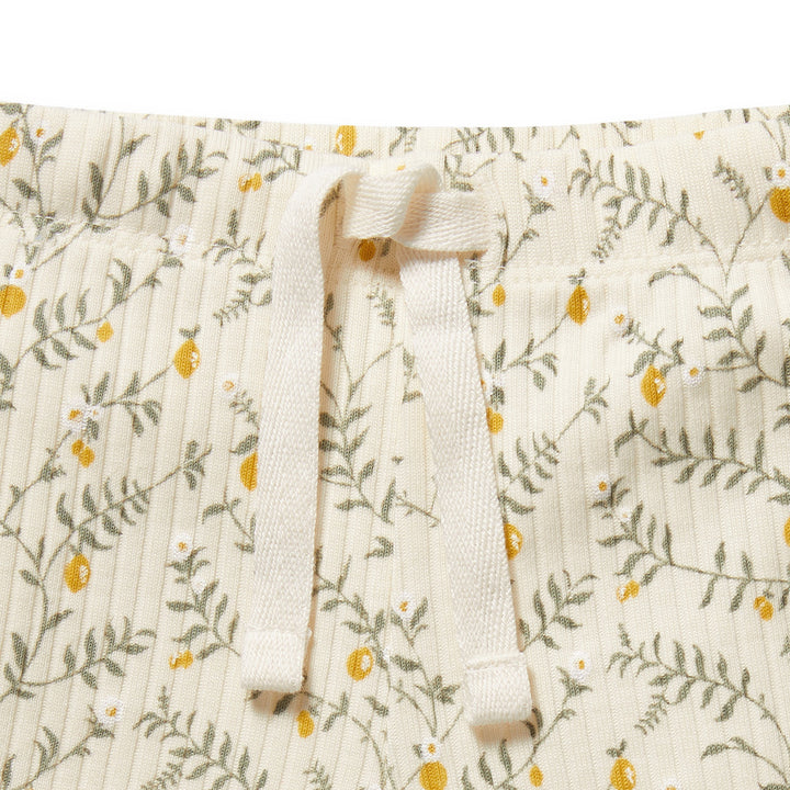 Wilson & Frenchy Organic Short - Lemon Leaf