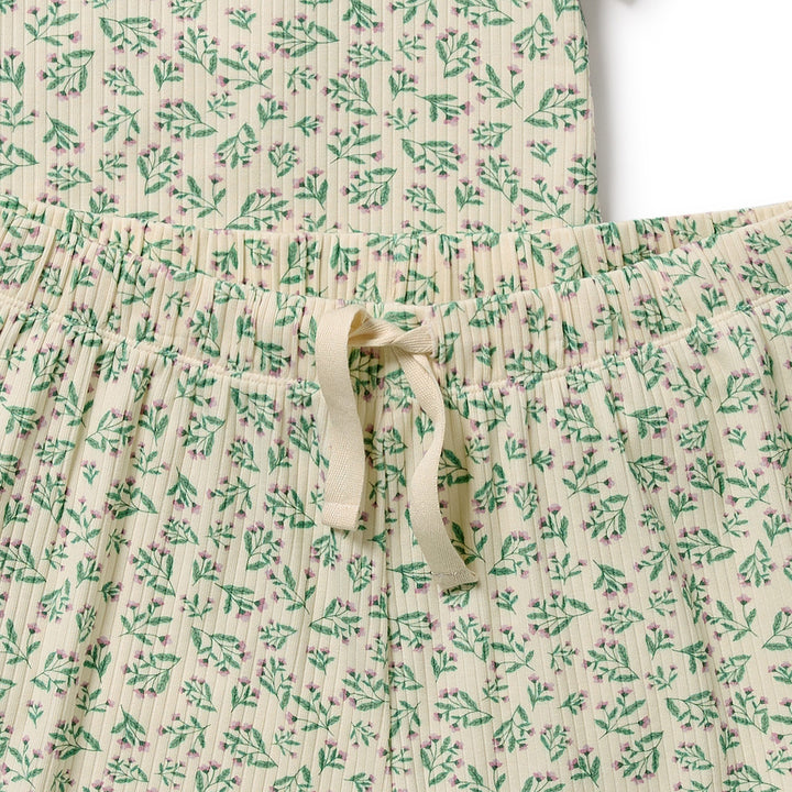 Wilson & Frenchy Organic Womens Short Sleeved Pyjamas - Periwinkle