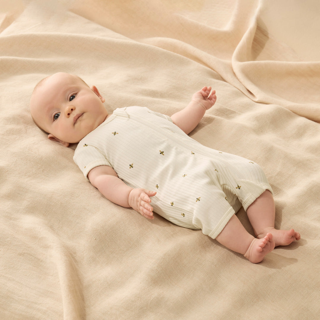 Wilson & Frenchy Organic Boyleg Zipsuit - Bee Mine