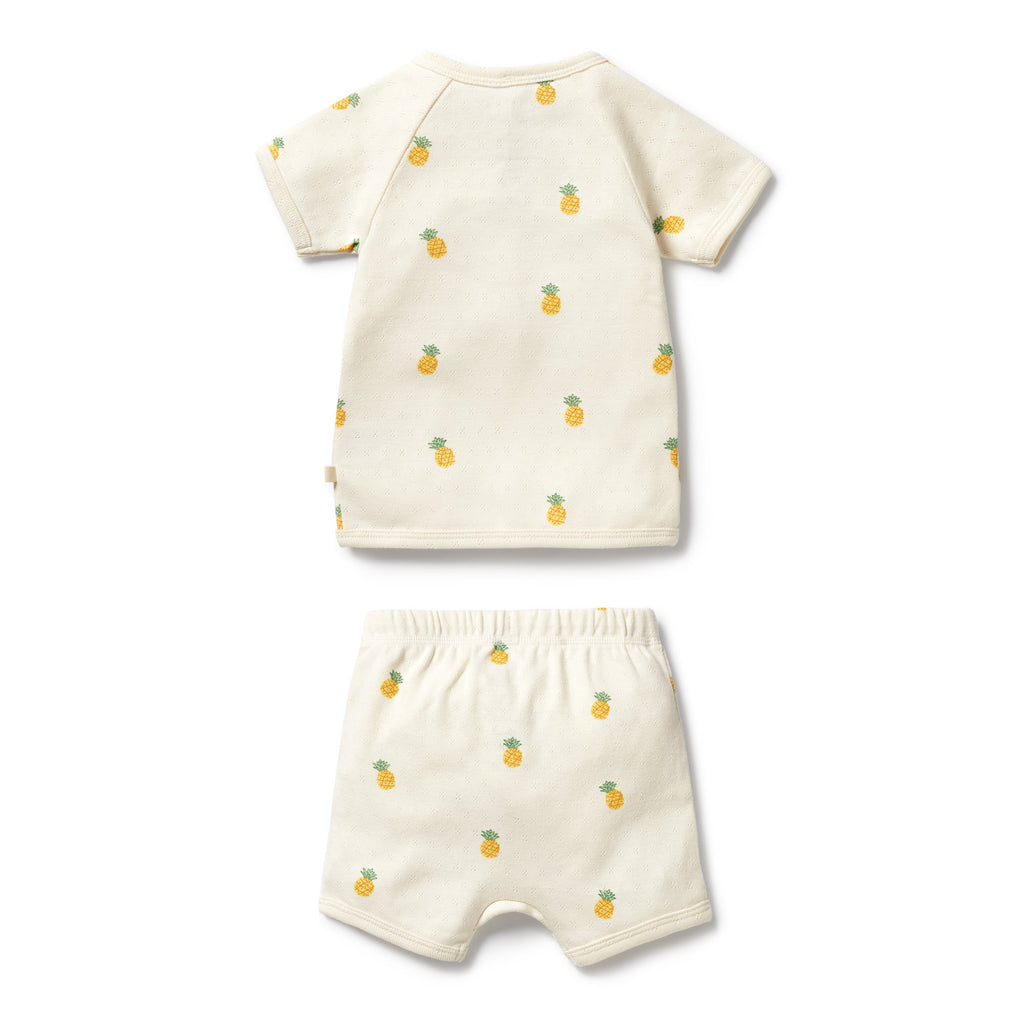 Organic Pointelle Kimono Set - Piney Pals