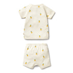 Organic Pointelle Kimono Set - Piney Pals