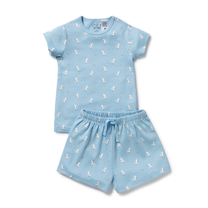 Wilson & Frenchy Organic Pointelle Short Sleeved Pyjamas - Sunny Seagulls