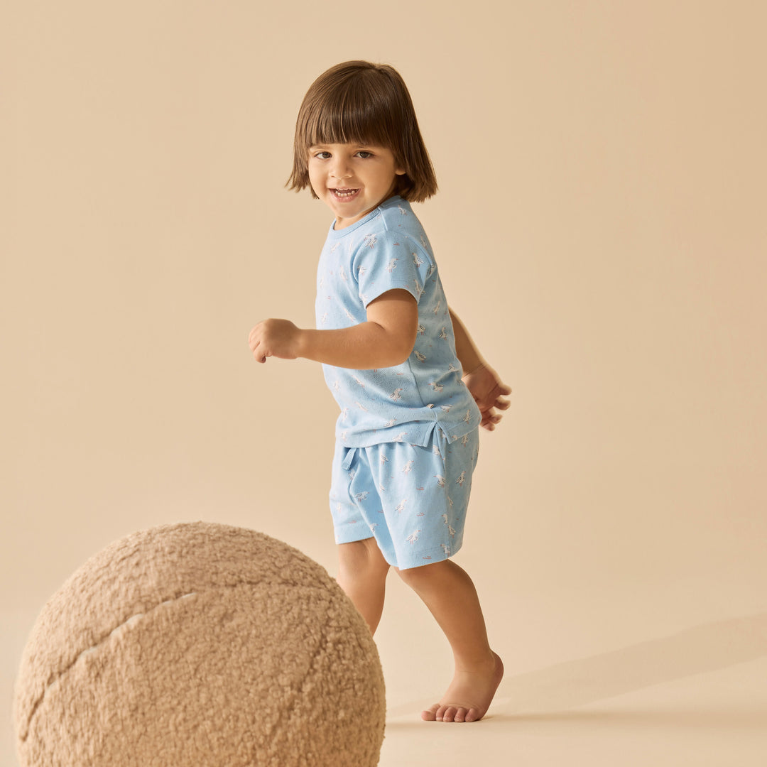 Wilson & Frenchy Organic Pointelle Short Sleeved Pyjamas - Sunny Seagulls