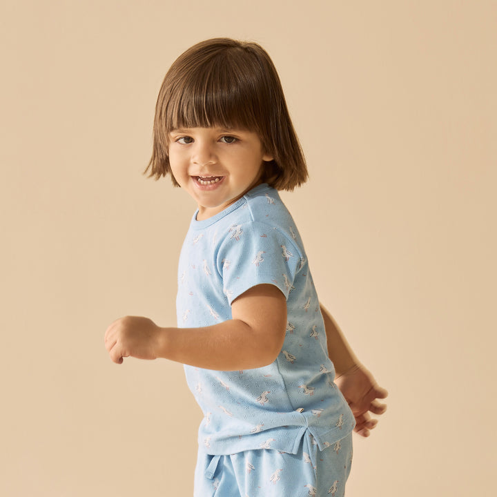 Wilson & Frenchy Organic Pointelle Short Sleeved Pyjamas - Sunny Seagulls