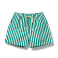Swim Board Short - Green Bean Stripe