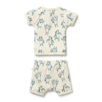 Organic Kimono Set - Yeti