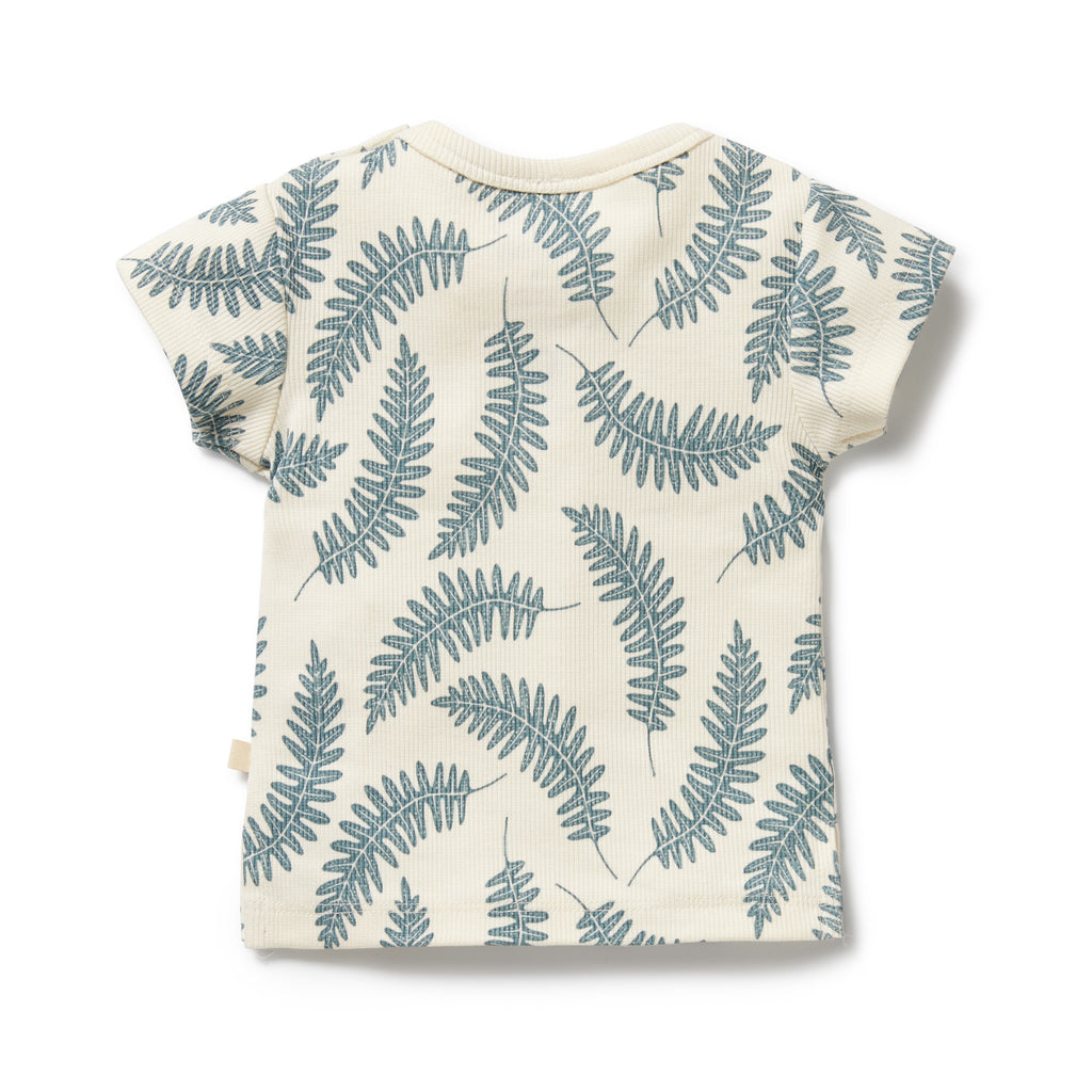 Wilson & Frenchy Organic Tee - Little Fronds