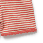Organic Knitted Stripe Playsuit - Strawberry Swirl