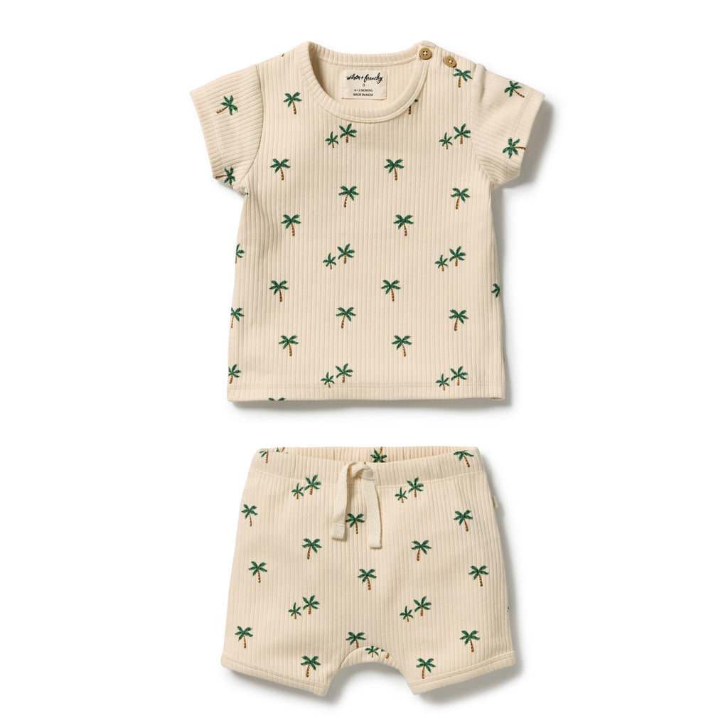 Tiny Palm Organic Set