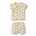 Tiny Palm Organic Set