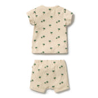 Tiny Palm Organic Set