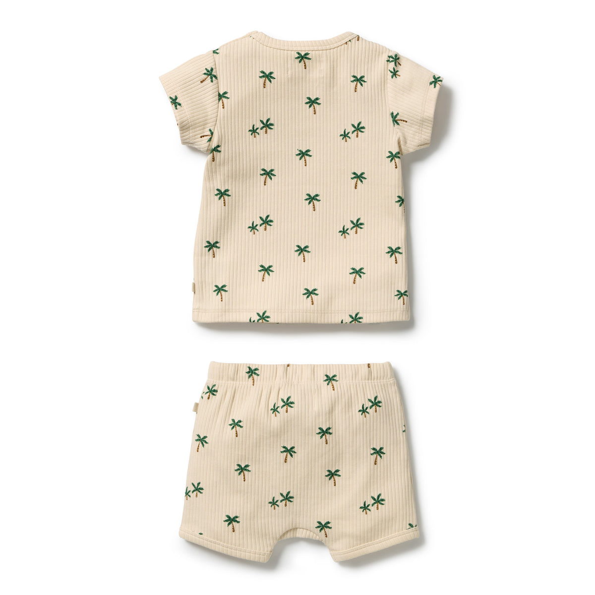 Tiny Palm Organic Set