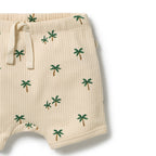 Tiny Palm Organic Set