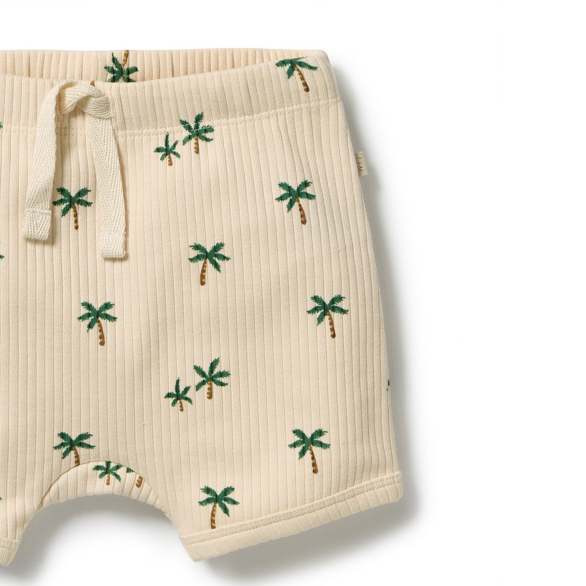Tiny Palm Organic Set