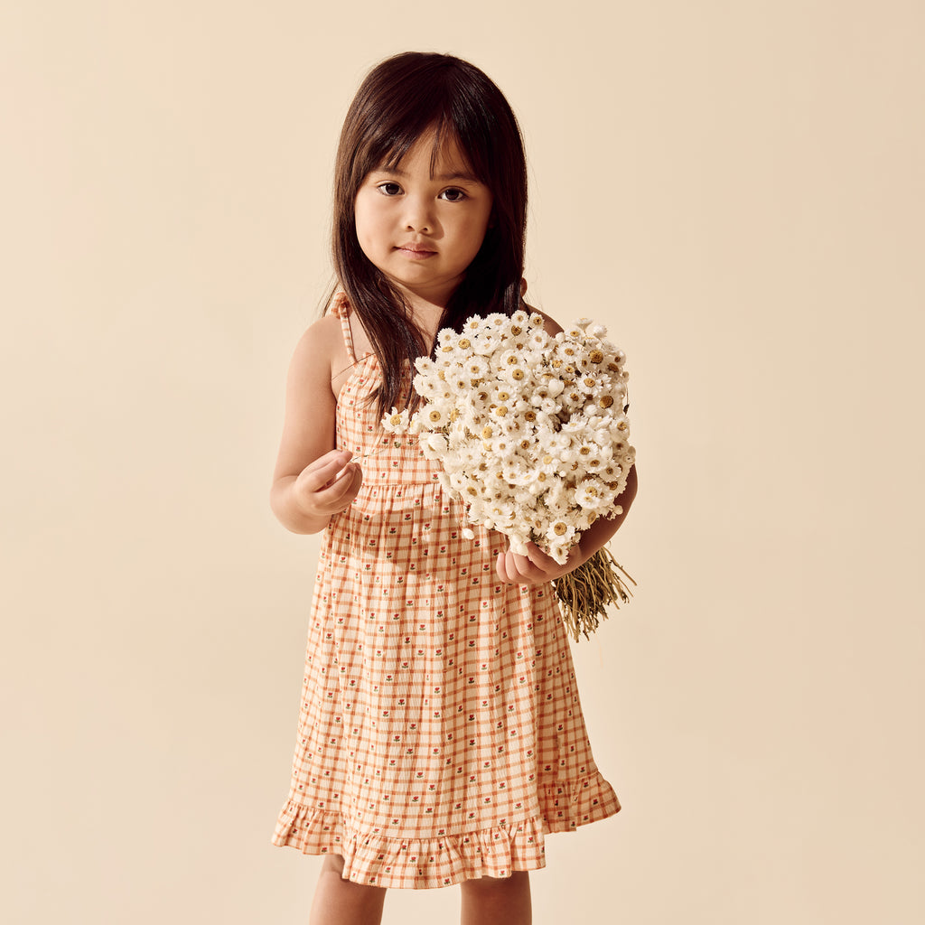 Checkerberry Organic Crinkle Ruffle Dress