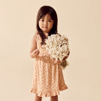 Checkerberry Organic Crinkle Ruffle Dress