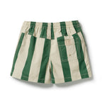 Lagoon Stripe Swim Board Short