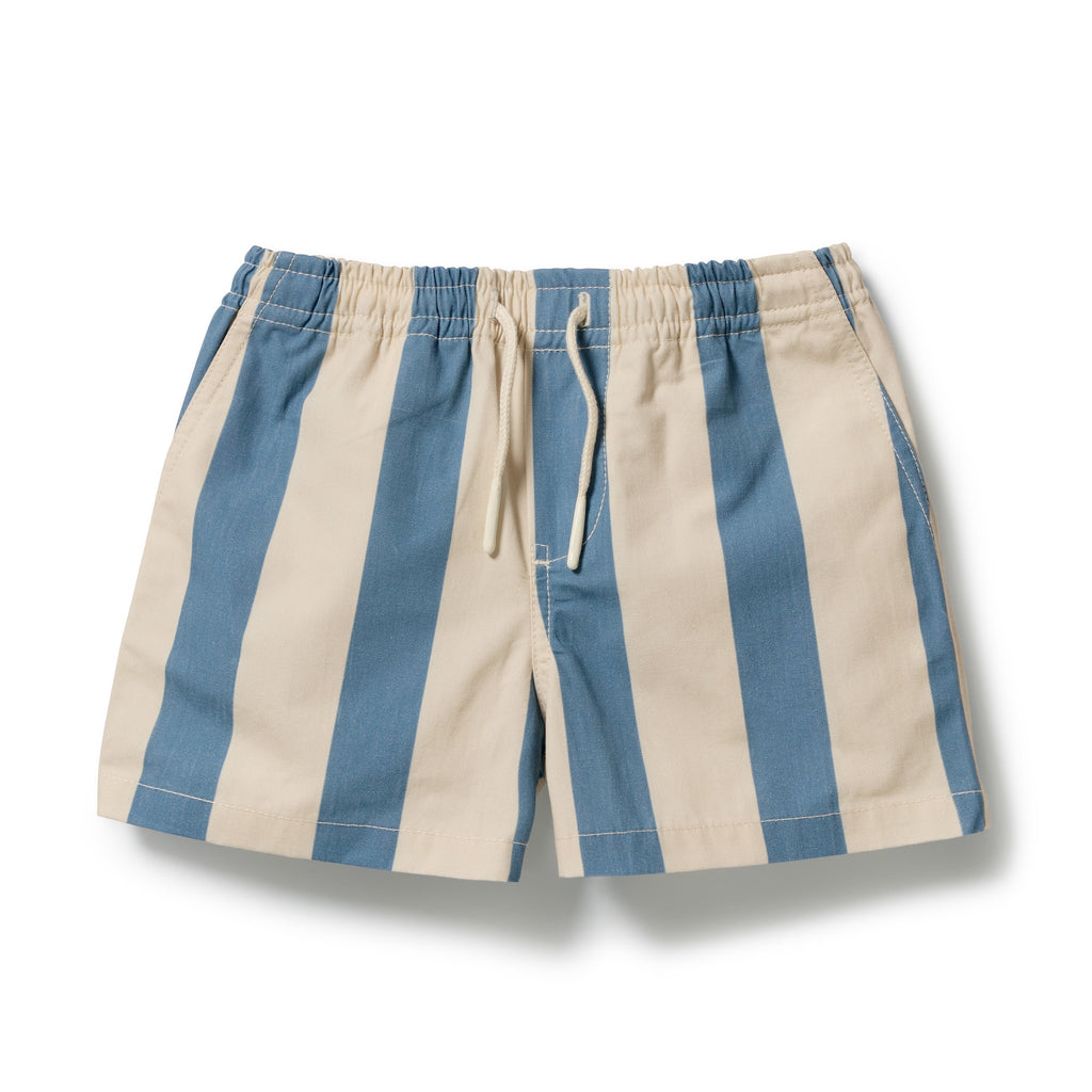 Ocean Stripe Swim Board Short