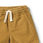 Amber Glow Organic Cord Short