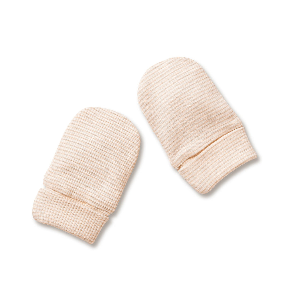 Organic Stripe Rib Mittens Dusk