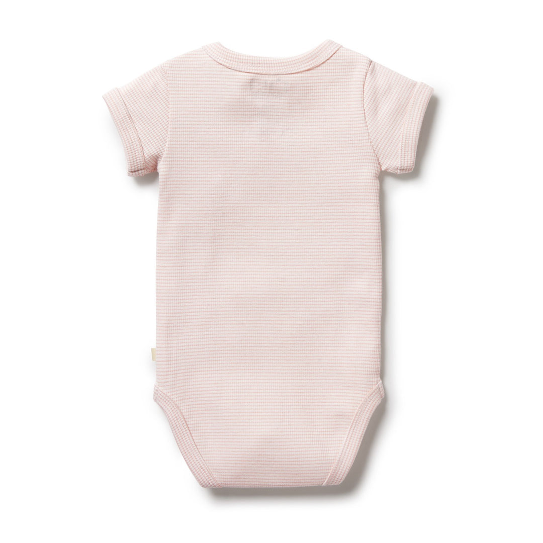 Wilson and Frenchy Organic Stripe Rib Bodysuit - Cantaloupe